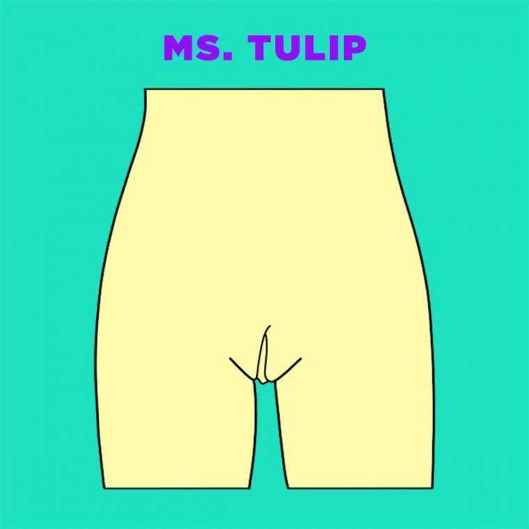 Ms-Tulip-vagina-illustration.jpg